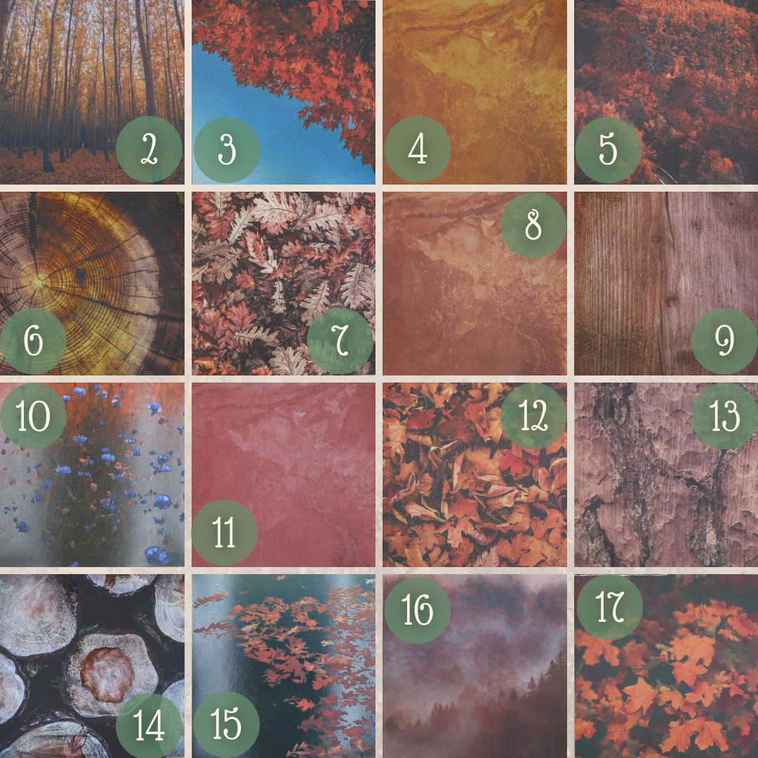 Field Journals